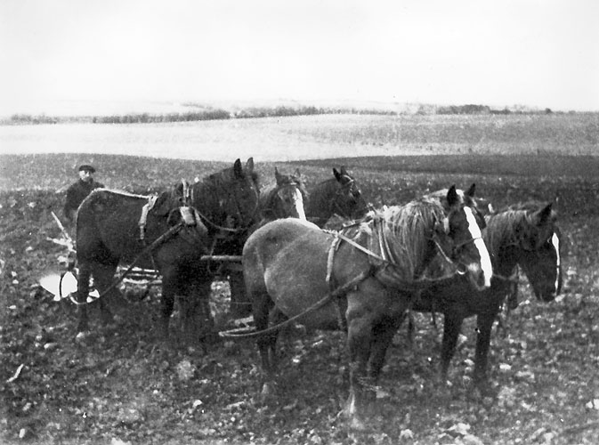 WA5-1052